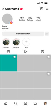 Instagram Darstellung der Beiträge auf der Profilseite